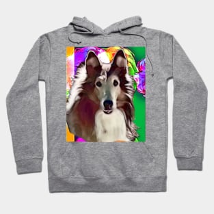 Jay-Boy, the wonderboy collie Hoodie